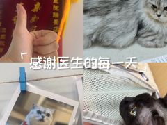 -瑞派康怡24h宠物医院·犬猫医疗中心·微创绝育(瑞景分院)