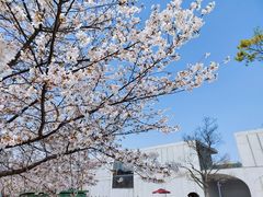-龙美术馆(西岸馆)