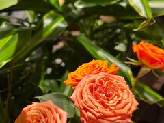 -半秋山西餐厅(巴南万达广场店)