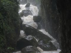 -鹿院坪生态旅游景区