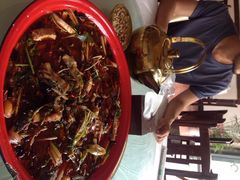 球溪王鲢鱼-球溪周鲢鱼