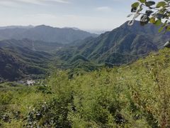 -大岭沟猕猴桃谷风景区