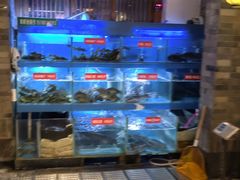 -苗家大院酸汤鱼(贵阳北站店)