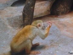 -蓬莱欧乐堡海洋极地世界
