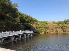 -深圳仙湖植物园