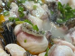 -大鼎石锅鱼(春江里店)