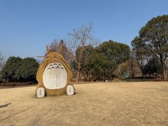 -长兴太湖图影湿地文化园