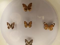 -下渚湖国家湿地公园科普馆