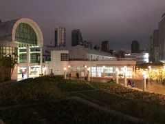 -九龙公园