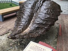 -西安曲江寒窑遗址公园