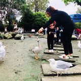 超多萌宠‼️超多表演‼️超级适合溜娃的亲子乐园㊙️