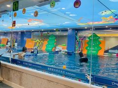 -戊辰亲子游泳俱乐部