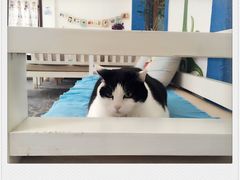 -柯达靓之彩影像网络(明瓦廊店)