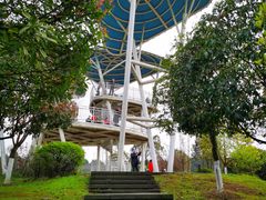 -铁山坪森林公园