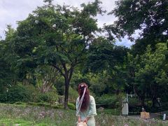 -深圳国际园林花卉博览园