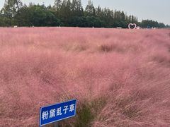 -嘉北郊野公园