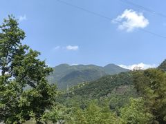 -原乡芦茨咖啡