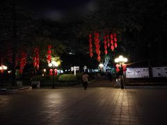 -东风公园