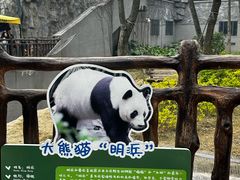 -柳州市动物园