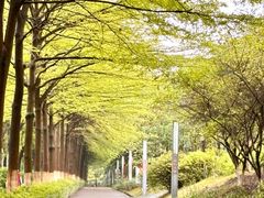 -河源客家文化公园