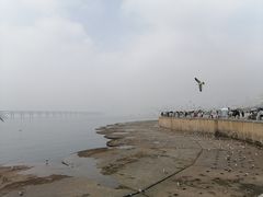 -星海广场