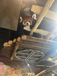 -Zoolung Zoolung动物主题公园(海信广场店)