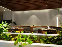 大堂-青梅酒肆PLUS(长白仙岛北路店)