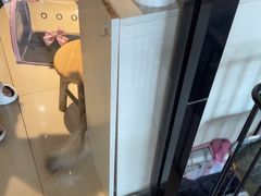 -琳哒宠物医院