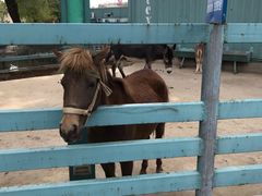 -酷鱼垂钓CLUB(朝阳区博大路店 )