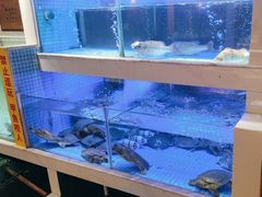 -王捌小院(红花坡店)