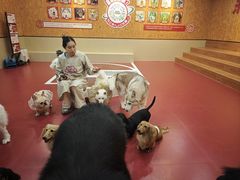 -和它·交个朋友·狗咖猫咖(爱琴海店)