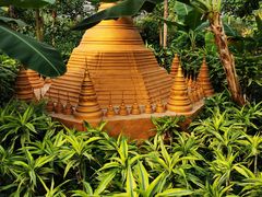 -南宫五洲植物乐园