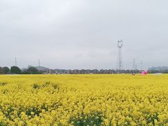 -良渚文化村