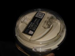 -白日梦奶茶