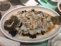 豉汁蒸多宝鱼-大树餐厅(红旗街万达店)