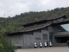-都江堰中华大熊猫苑