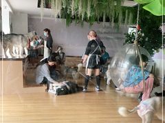 -Husky Go! 哈士奇体验馆·宠物咖啡厅狗咖