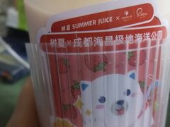 -树夏(锦里店)