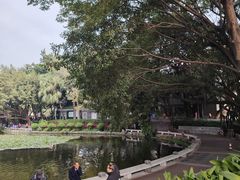 -荔湾湖公园