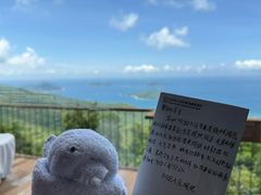 -三亚亚龙湾人间天堂鸟巢度假村