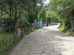 -秦岭终南山世界地质公园翠华山景区