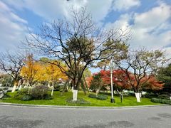 -浙江西子宾馆·瑶园咖啡厅