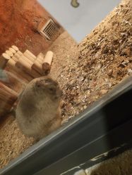 -酷嗒动物文化乐园(cutezoo西溪乐天城店)