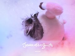 -Oh My Dog宠物沙龙(伊珊娜皮毛护理店)