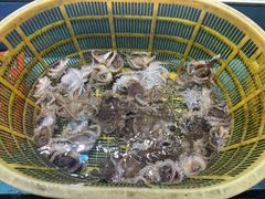 -乐在集市海鲜大排档(平潭店)