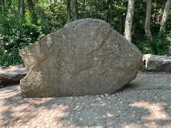 -上海佘山国家森林公园天马山园