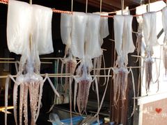 -龙头岩(Dragon Head Rock)