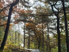 -北京十三陵国家森林公园蟒山景区