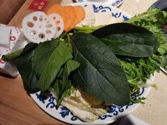 -东镇老火锅(长春路首店)