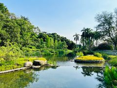 -云溪植物园